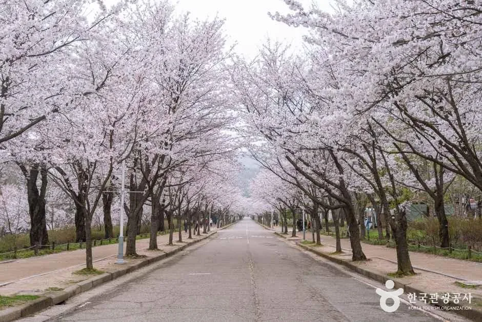 인천_남동구_인천대공원_외부_7.jpg