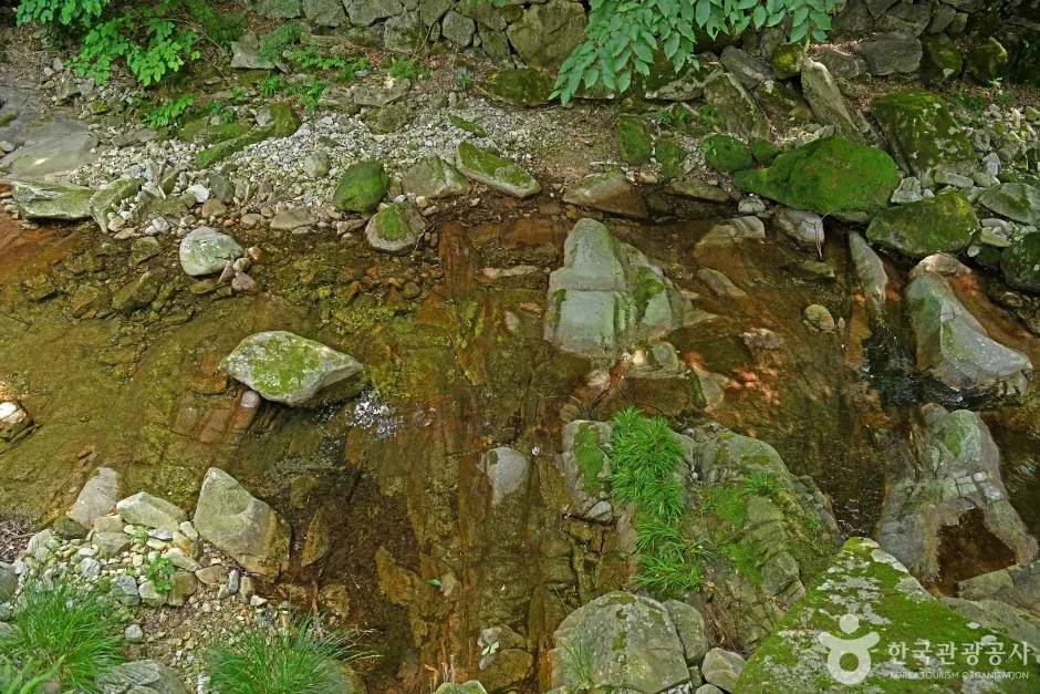 동학사계곡 (6)