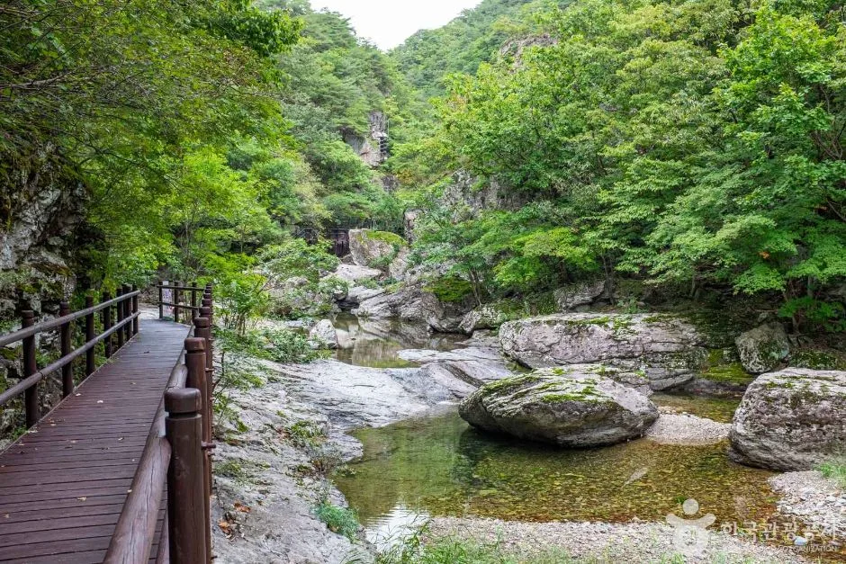 청송_용절골협곡(청송국가지질공원) (4)