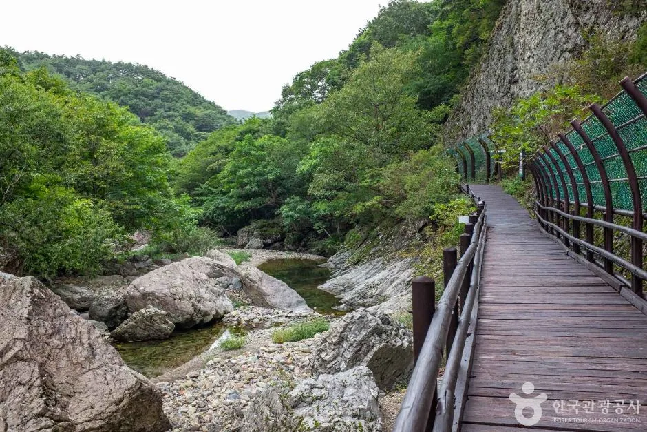 청송_용절골협곡(청송국가지질공원) (6)