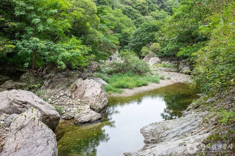 청송_용절골협곡(청송국가지질공원) (3)