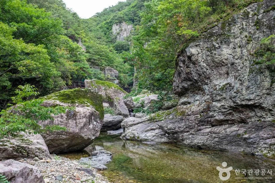 청송_용절골협곡(청송국가지질공원) (5)