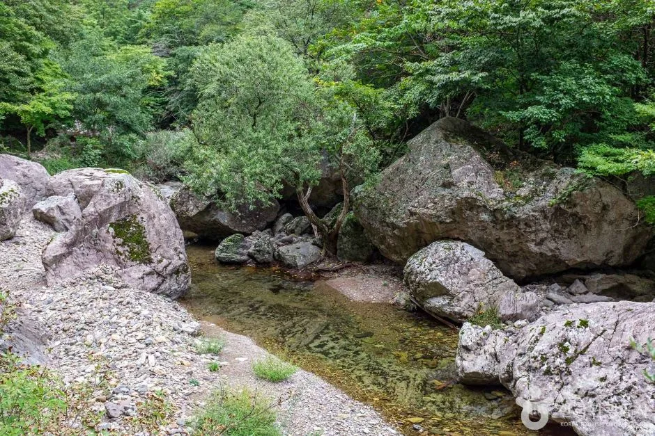 청송_용절골협곡(청송국가지질공원) (2)