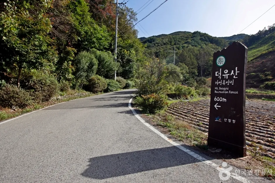 전북_무주_국립 덕유산자연휴양림 (1)