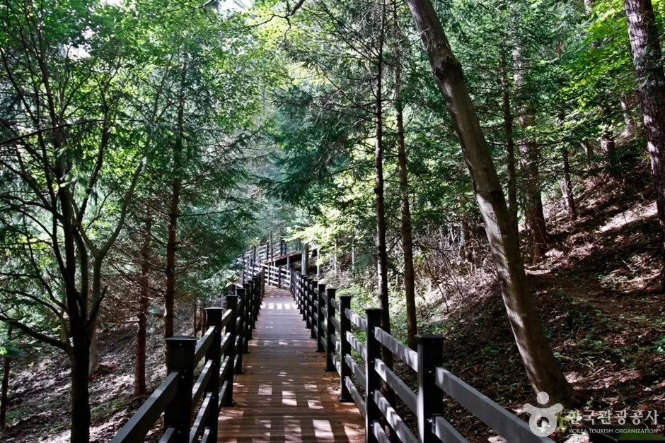 전북_무주_국립 덕유산자연휴양림 (11)