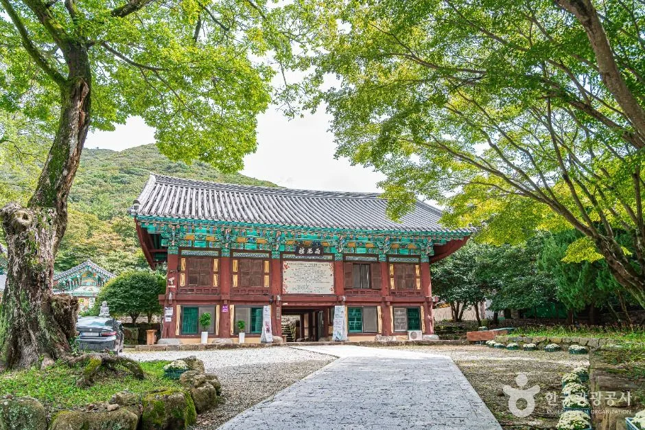 진도_쌍계사(진도) (2)
