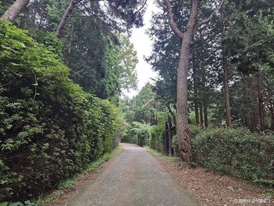 창원_삼밀사 (2)