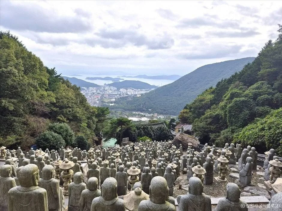 창원_삼밀사 (1)