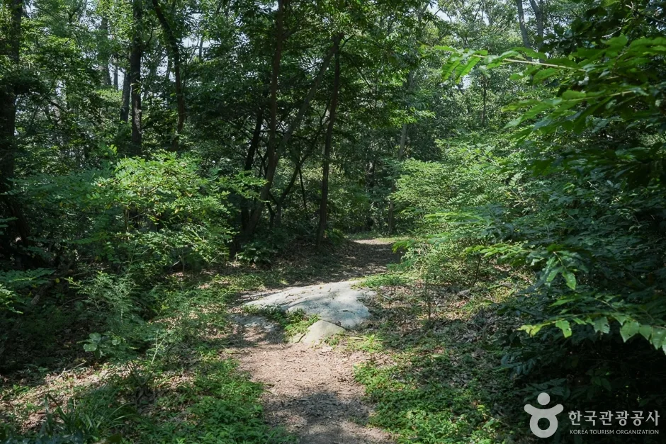 전득이고개(1)