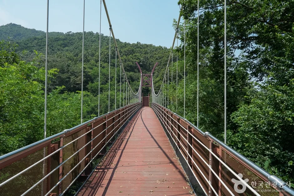 전득이고개(11)