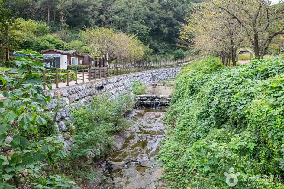 포항_연일중명자연생태공원 (2)