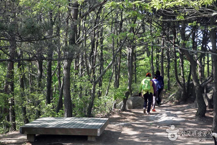 충남_서산시_팔봉산(서산) (5).jpg