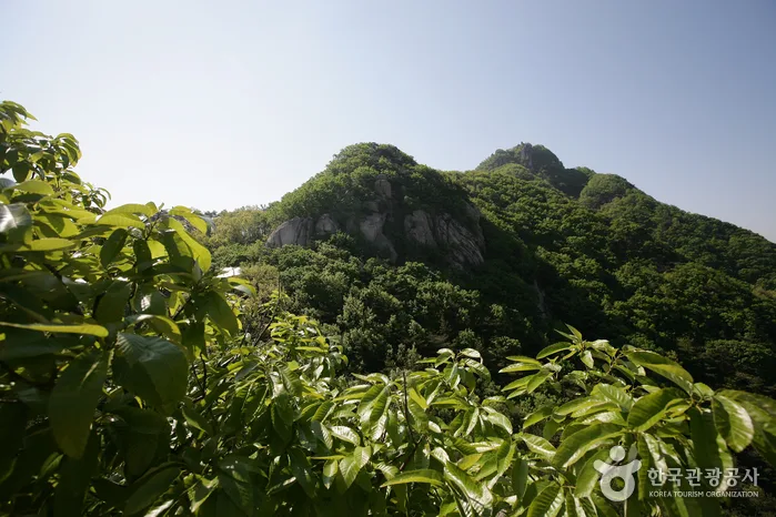 충남_서산시_팔봉산(서산) (3).jpg