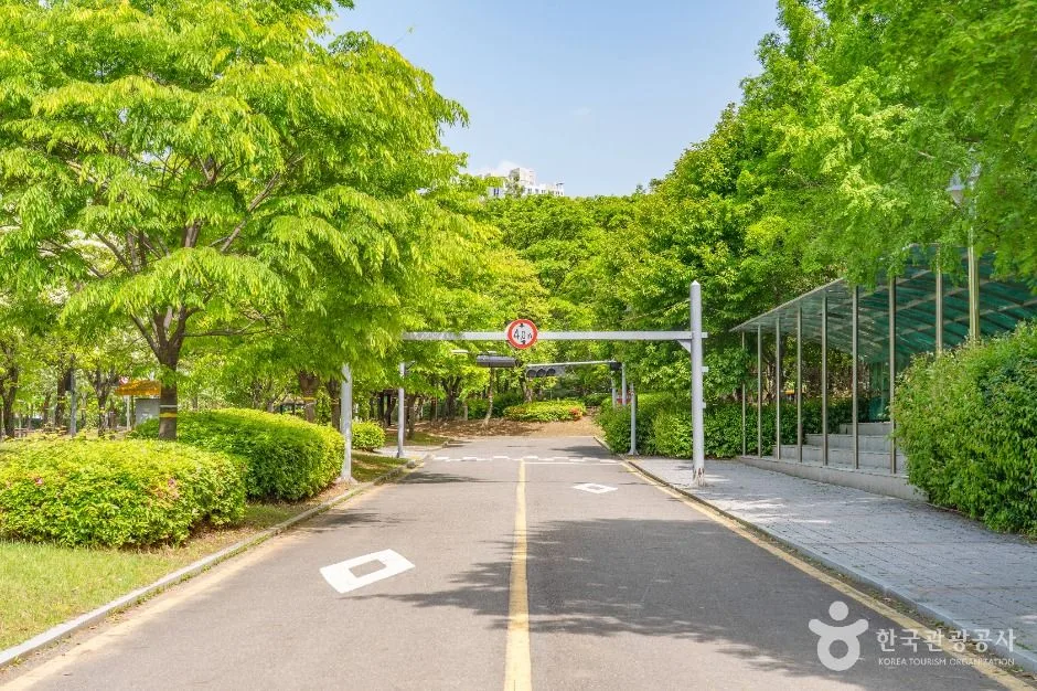 수원_영통어린이교통공원 (3)