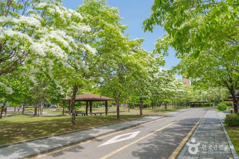 수원_영통어린이교통공원 (4)
