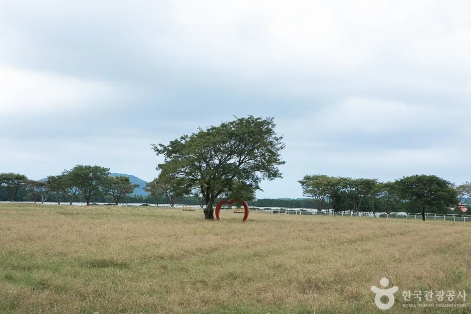 렛츠런팜 (3)