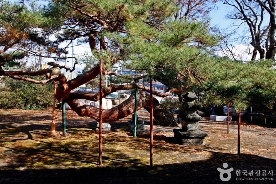 충주 단호사 삼층석탑 (13)