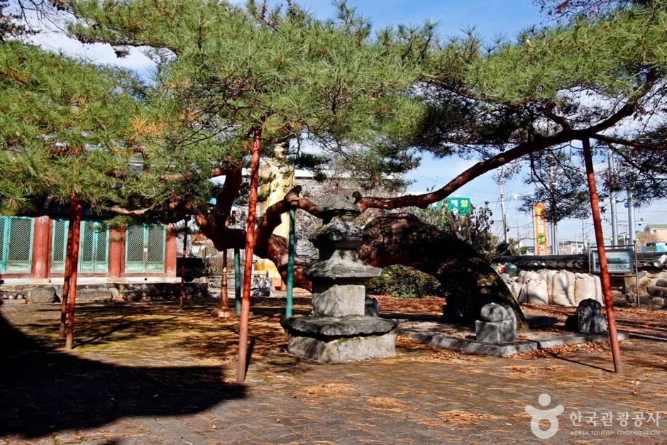 충주 단호사 삼층석탑 (11)