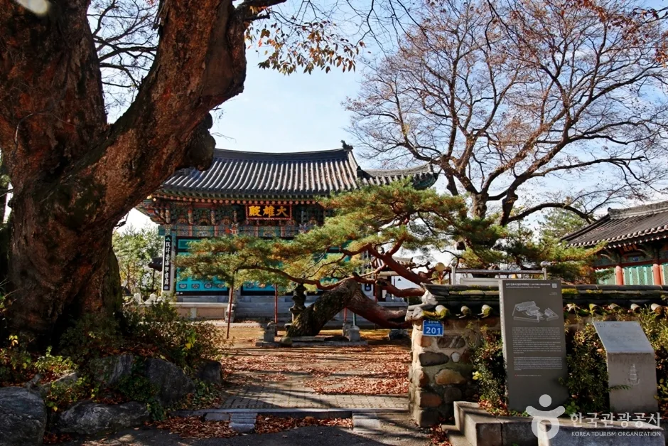 충주 단호사 삼층석탑 (2)