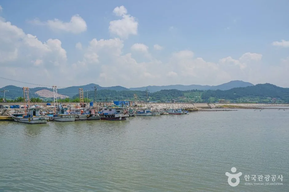 영광_설도항 (6)