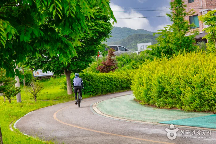 의암호자전거길(봄내길코스) 16