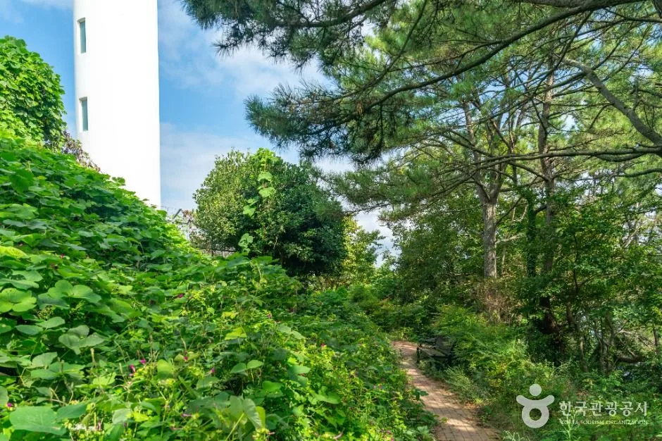 여수_백야도 등대 (6)