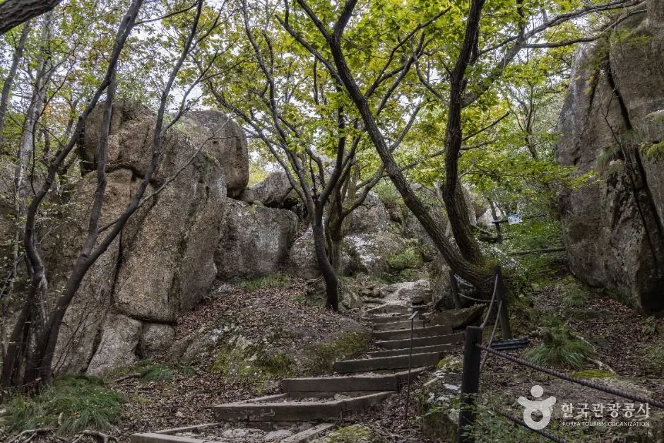 남해_금산(남해) (5)