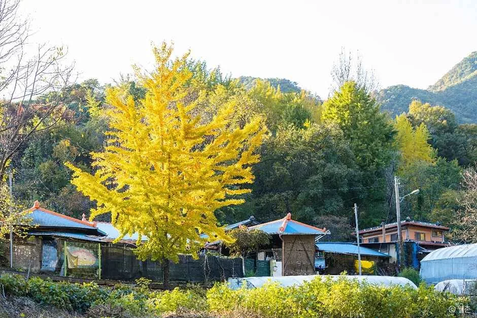 벌랏한지마을 (2).jpg