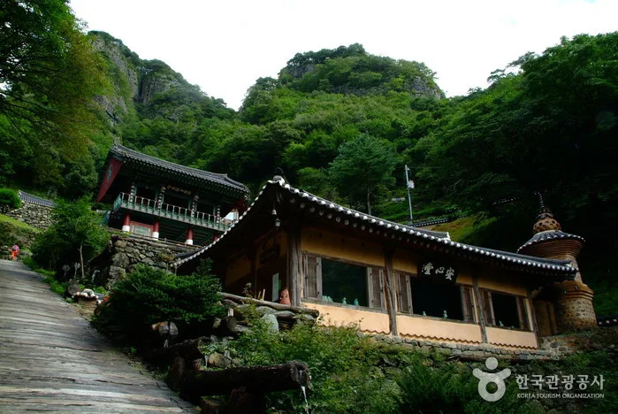 청량산에 올라 하늘다리를 건너다