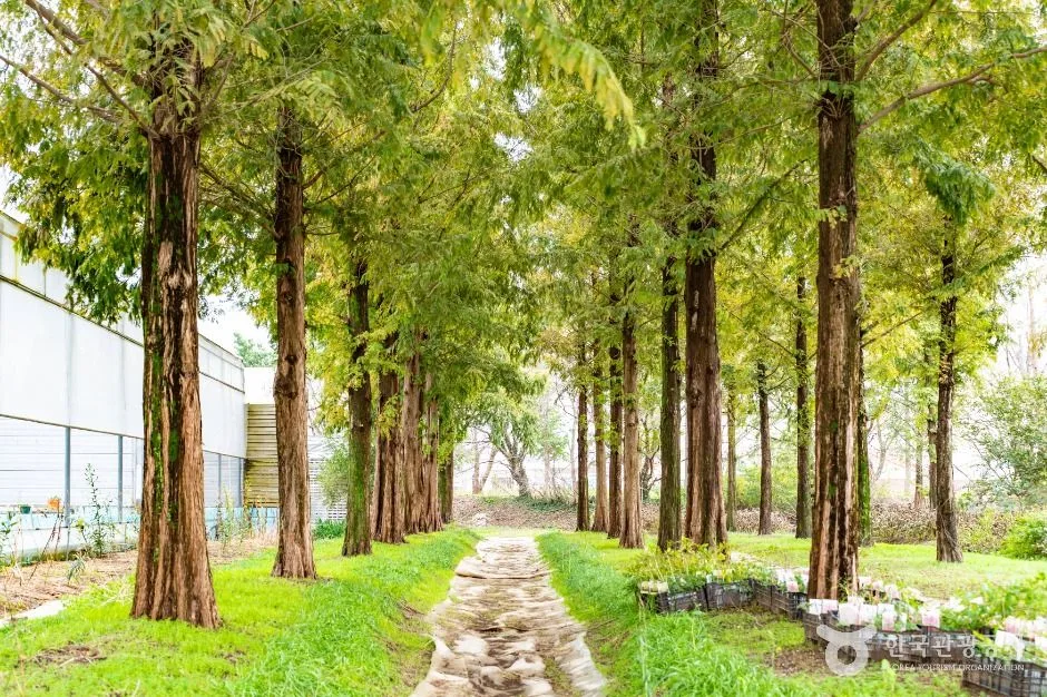 아산_세계꽃식물원 (5)