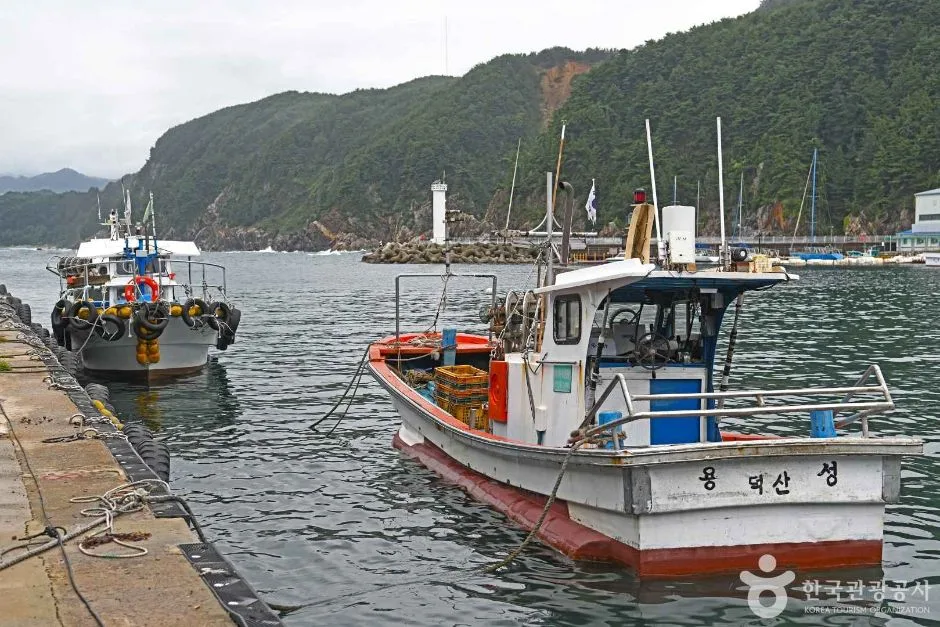 삼척_덕산항 (3)