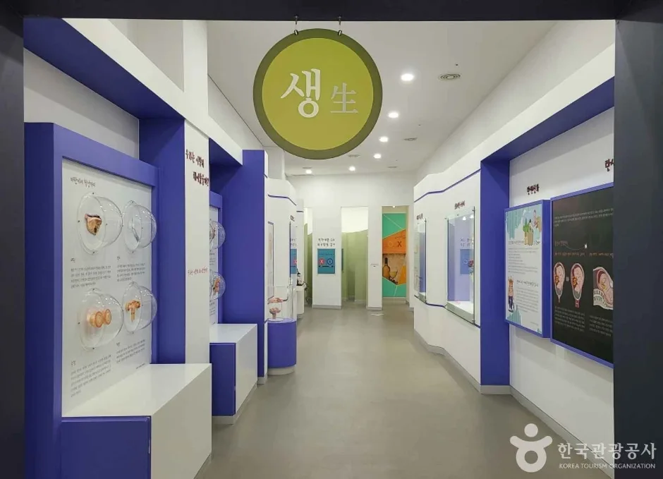 건강장수연구소 쉴랜드 (2)