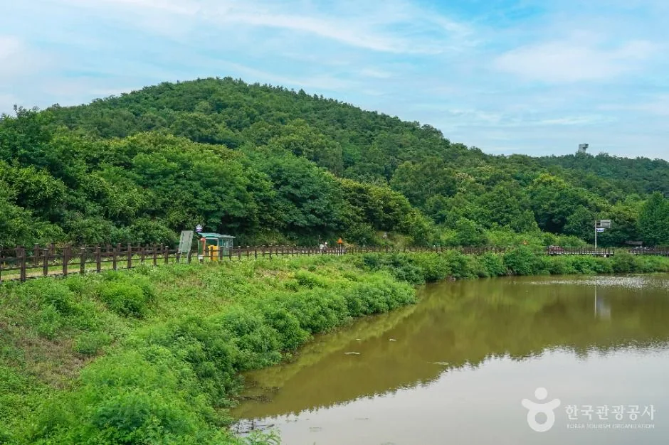 대구_창평지 친환경 생태공원 (2)