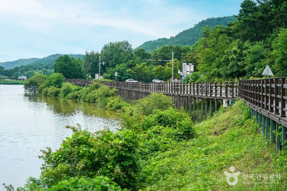 대구_창평지 친환경 생태공원 (5)