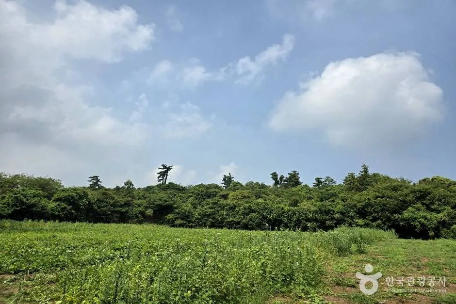 가새기오름_e (1)