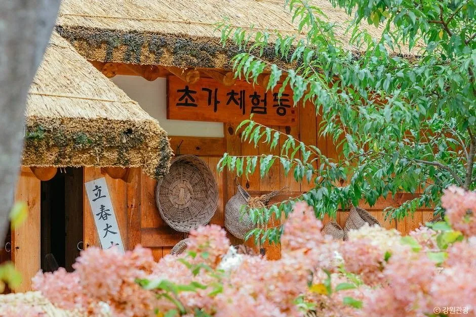 강원_홍천_수타사생태테마공원_내부_4.JPG