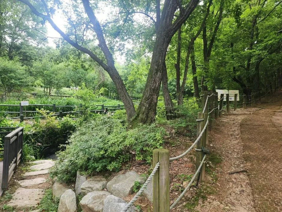 서울_관악산 선우공원 (5)