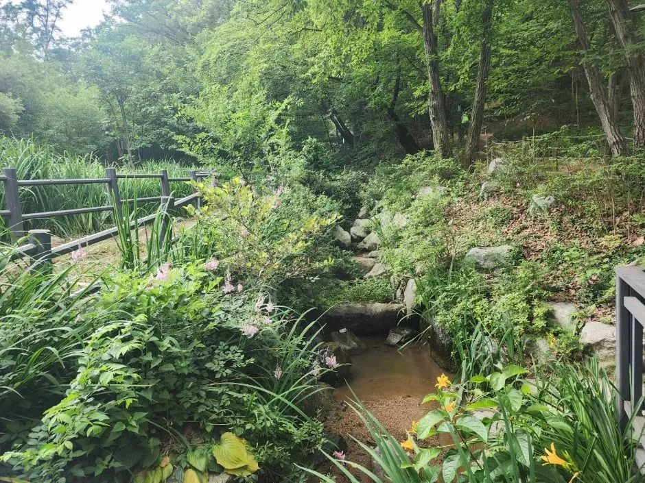 서울_관악산 선우공원 (3)