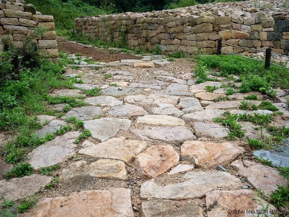 경주_경주 명활성 (5)