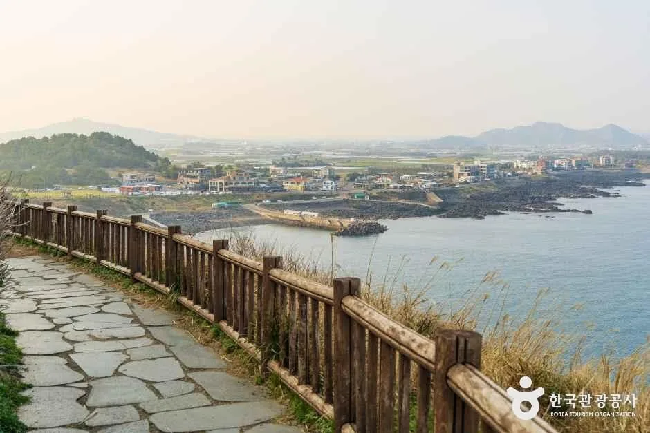 서귀포_송악산둘레길 (4).jpg