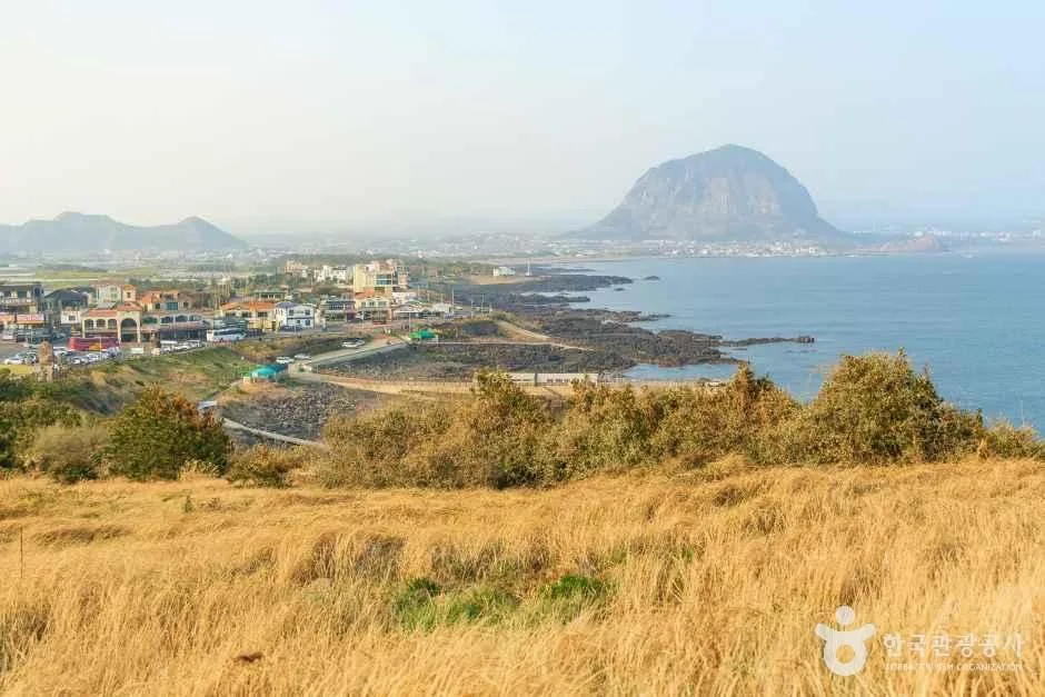서귀포_송악산둘레길 (7).jpg