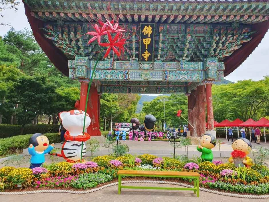 영광_불갑사(영광) (1).jpg