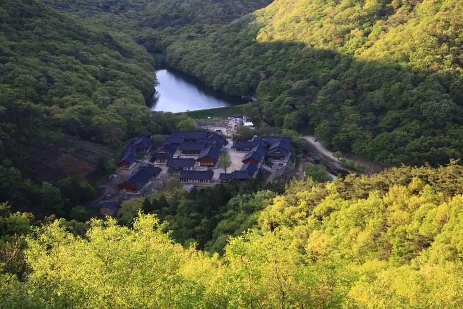 영광_불갑사(영광) (9).JPG