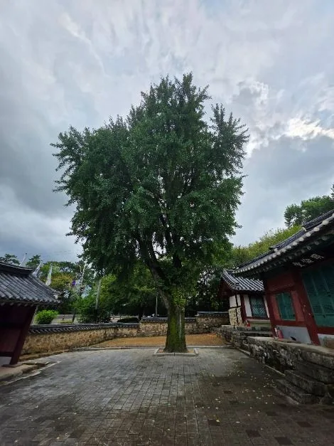 파주_교하향교 (12)