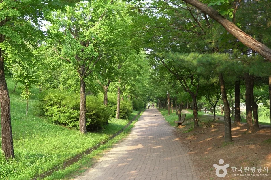 곤제근린공원7