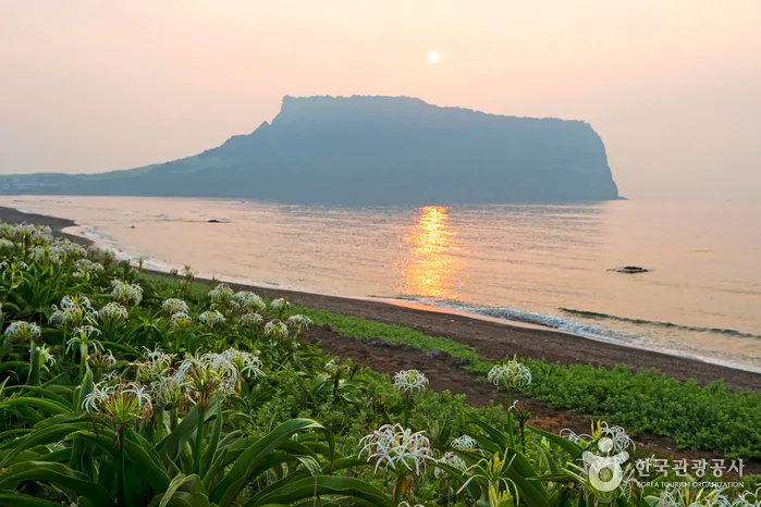 성산일출봉