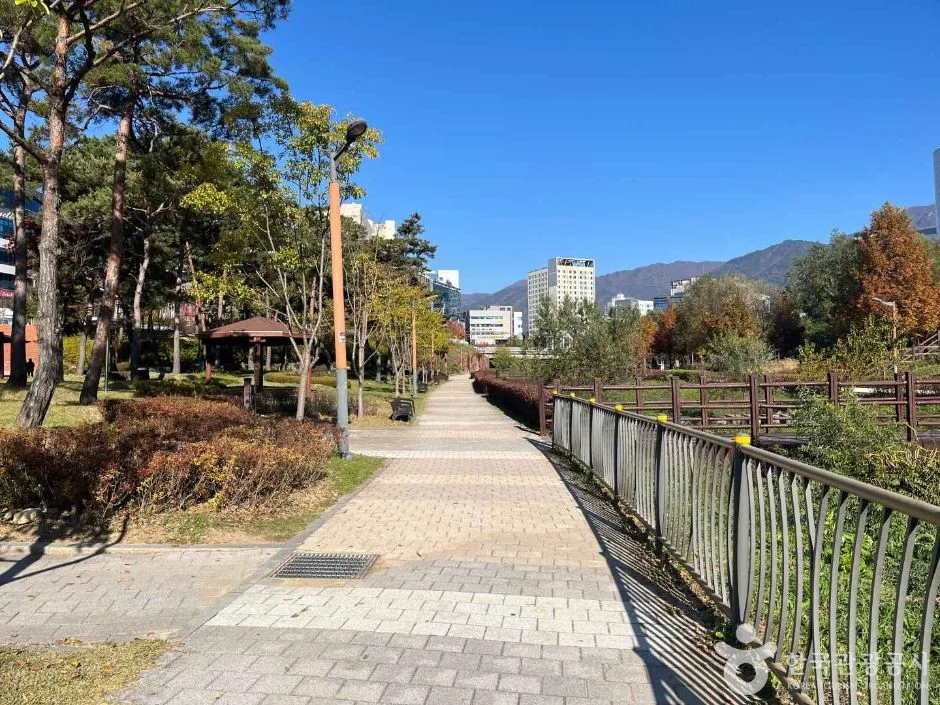 원주_두물수변공원 (13)