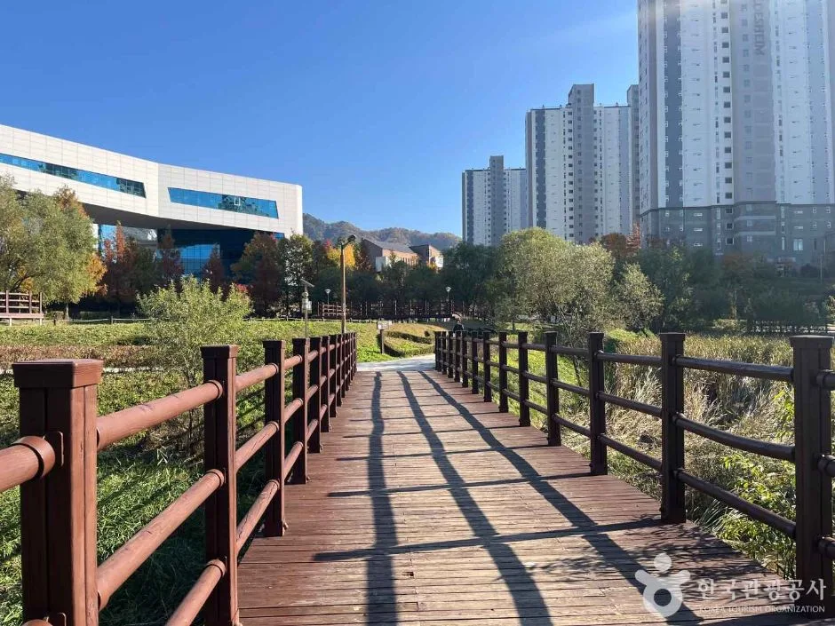 원주_두물수변공원 (3)