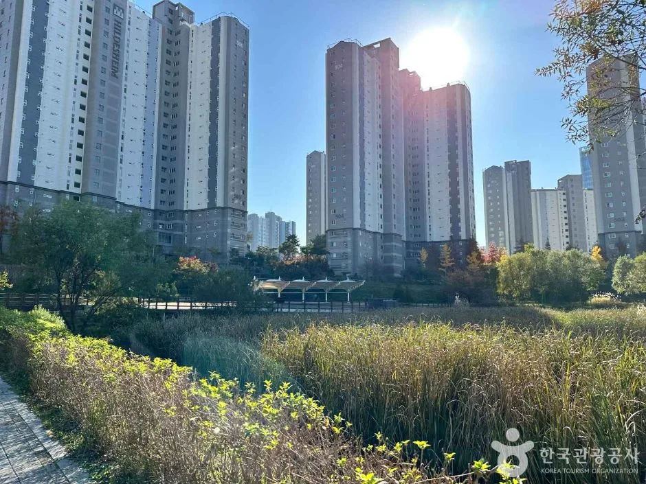 원주_두물수변공원 (2)