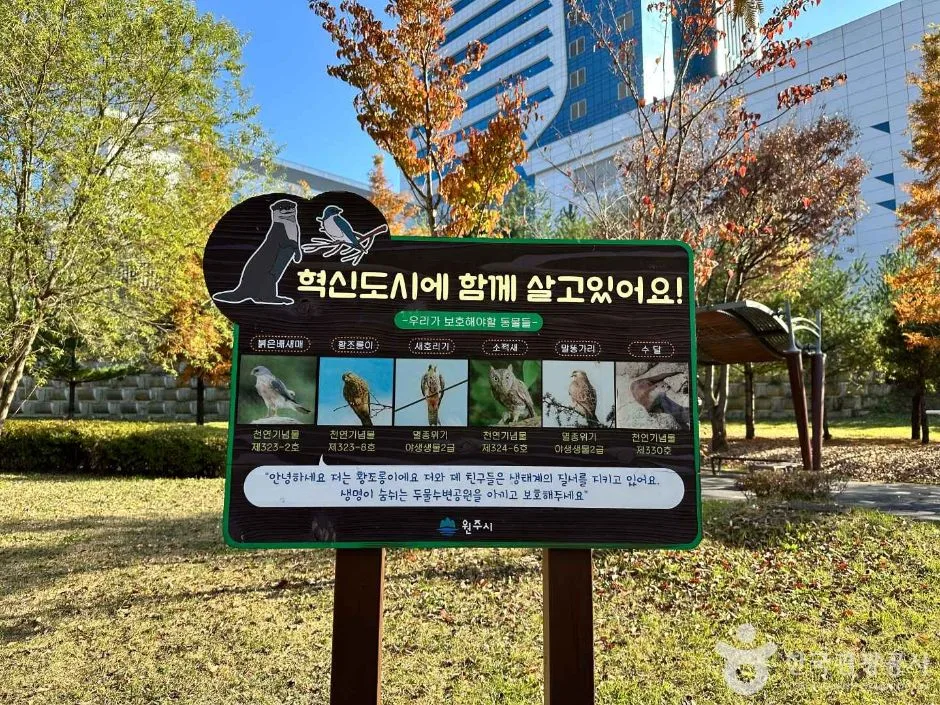 원주_두물수변공원 (6)